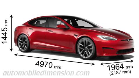 Dimensions: Tesla Model 3 2017-2023 vs. Tesla Model Y 2021-present